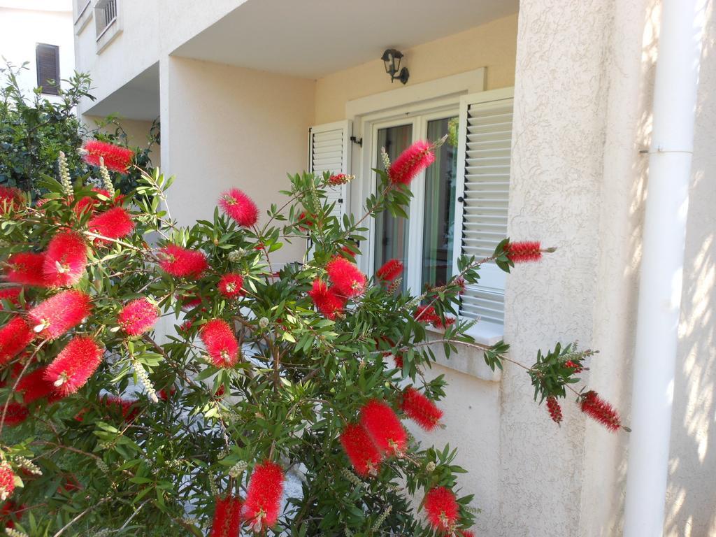 Apartments Maris Petrovac Rom bilde